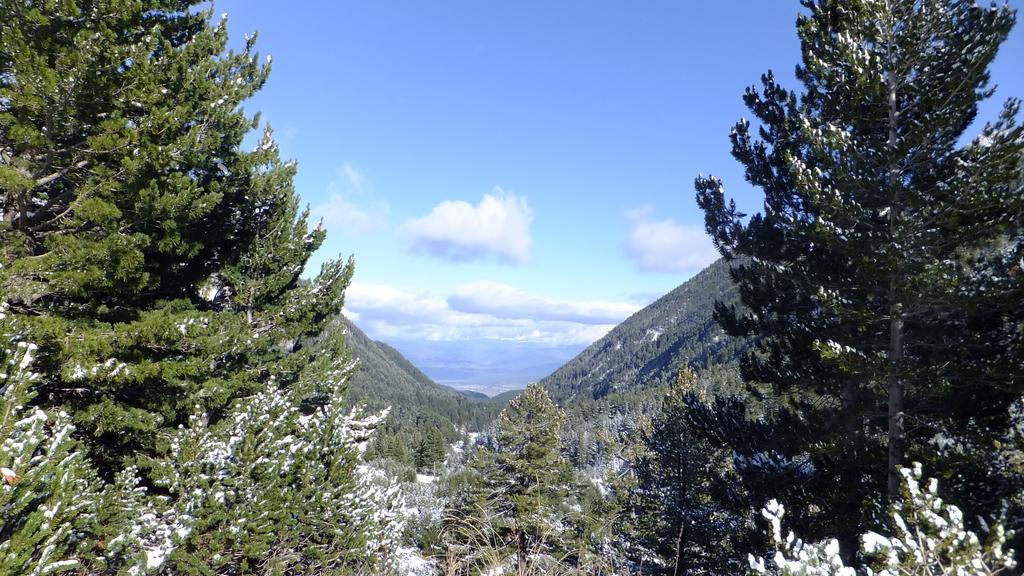 Bansko Prespa Ski Penthouse Bilik gambar
